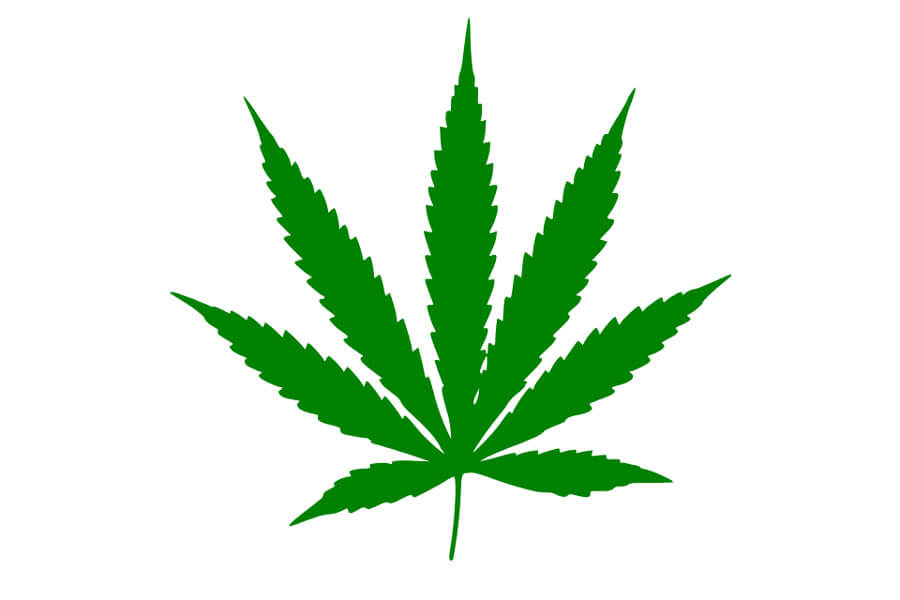 feature image Alberto Blackberry-Metal Marijuana Leaf Clips